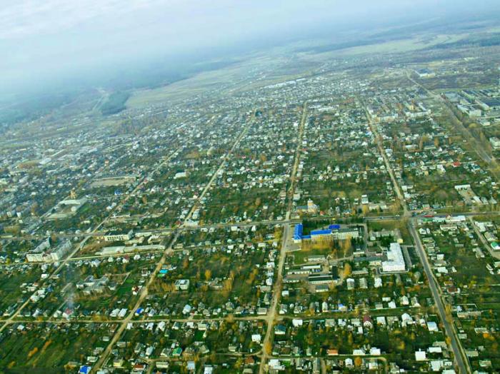 Кадастровая карта Брянской области