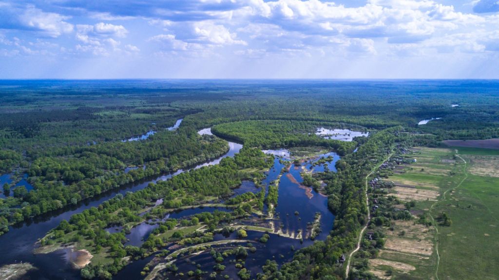 Брянская область с высоты птичьего полета