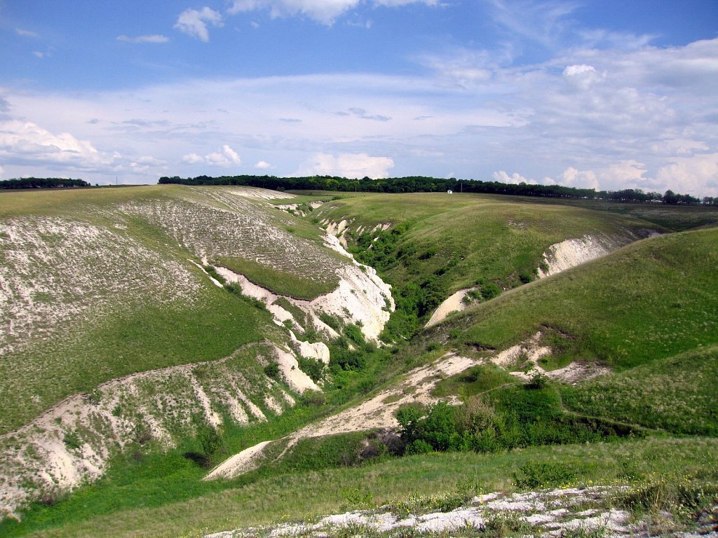 Воронежская область